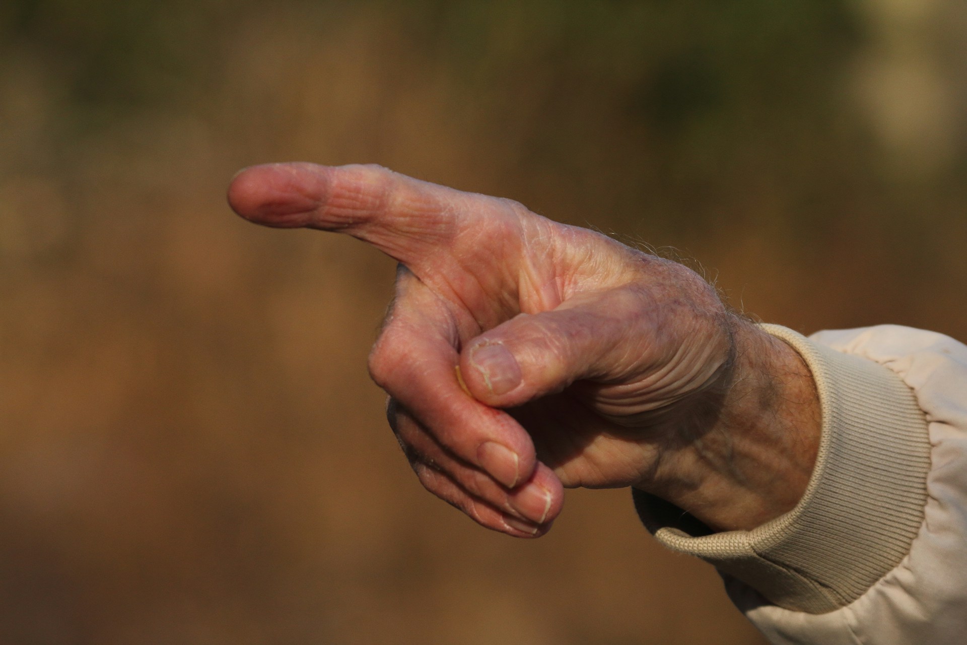 Pointing With The Index Finger