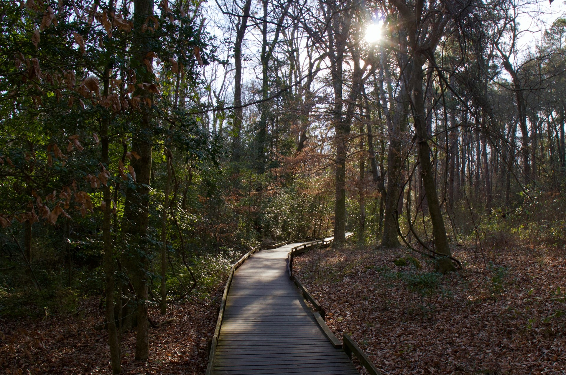 Congaree National Park
