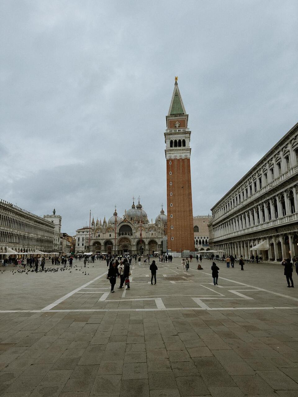 Feeding Wildlife in Urban Areas